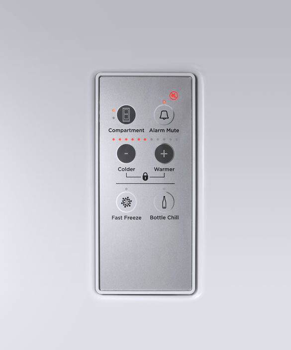 Fisher & Paykel Side by Side RF610ADX