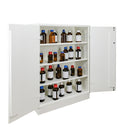 Ecosafe Sicherheitsschrank Für Leicht Entzündbare Produkte, Giftige Oder Schädlichen Chemikalien - Theke 2 Türen