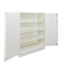 Ecosafe Sicherheitsschrank Für Leicht Entzündbare Produkte, Giftige Oder Schädlichen Chemikalien - Theke 2 Türen