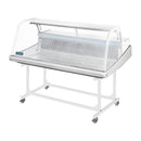 Polar Serie G Fisch Display servieren ueber Theke Kuehlschrank 255L