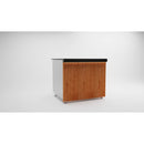 SGS Gastro cash register counter without glass / 90 cm / neutral element