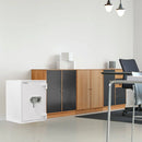Rottner Wertschutzschrank EN3 Diamant Super Fire DO65 Doppelbartschloss grau