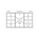 POÊLES RICHMOND Deluxe S900 DF GAZ Noir 